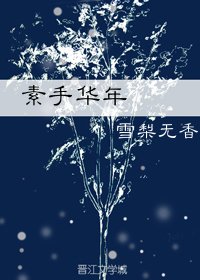 素手华年