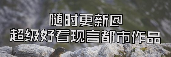 随时更新@超级好看现言都市作品