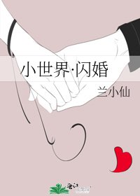 小世界·闪婚